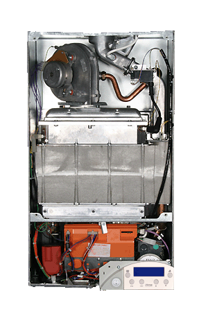 id isar he + programmer inner complete.gif